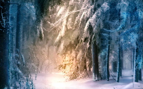winter