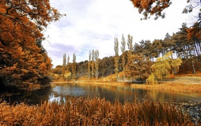 autumn, landscape