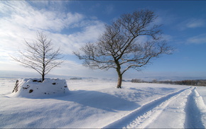winter, field, road