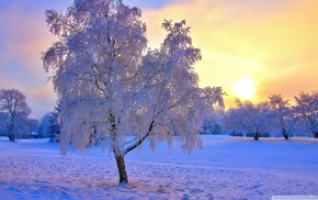 winter