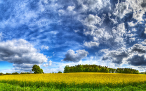 grass, Earth, sky, clouds, nature