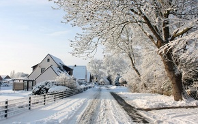 road, winter, nature