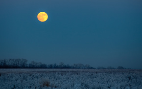 field, moon, winter, nature