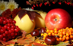 autumn, apples, flowers, leaves, delicious