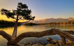 lake, nature, tree, mountain