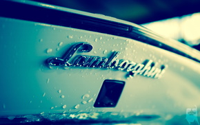 Lamborghini, drops, macro