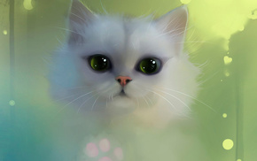 eyes, cat, animals, white