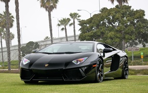 cars, car