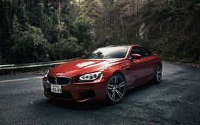 coupe, BMW, car, forest, cars