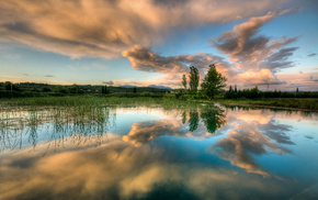 nature, water, sky, spring, trees