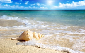 macro, Sun, sand, sea, surf