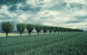 sky, field, trees, nature, clouds