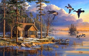 animals