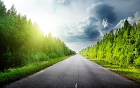 sky, clouds, forest, nature, road