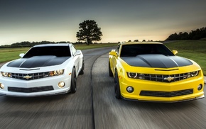 cars, USA