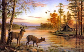 animals