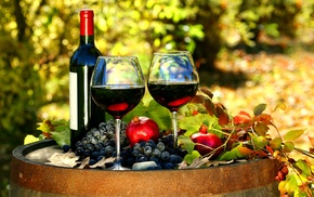 stemware, grapes, bottle, wine, delicious