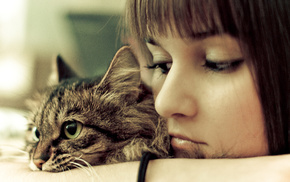 girls, cat, brunette, girl