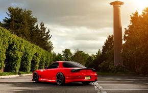 cars, trees