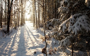 winter