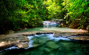 forest, nature, stunner, pond