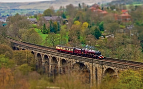 railway, trees, autumn