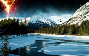 forest, winter, snow