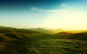 nature, grass