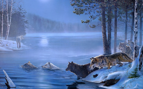 forest, ice, animals, trees