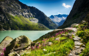 river, flowers, mountain, nature, stones