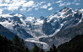 forest, nature, clouds, snow, mountain