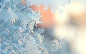 winter, ice, macro