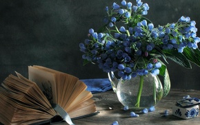 vase, book, flowers, still life