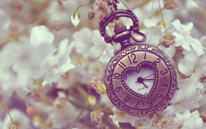 stunner, clocks, flowers