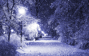 winter, night