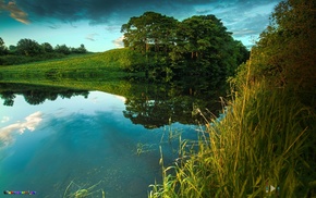 nature, on