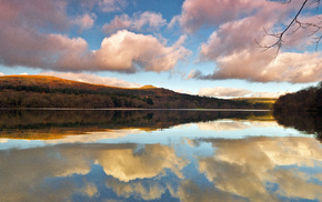 branch, sky, nature, trees, lake