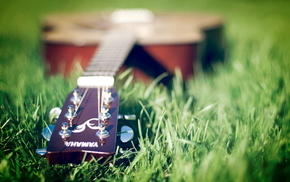 guitar, music, grass