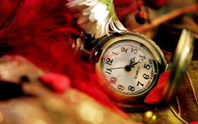 clocks, leaves, feathers, flower, stunner