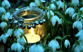 flowers, spring, fire