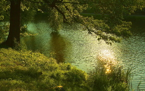river, tree, nature