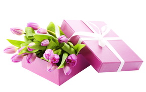 tulips, box, bouquet