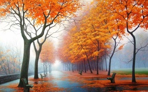 mist, autumn