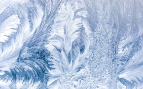 frost, winter