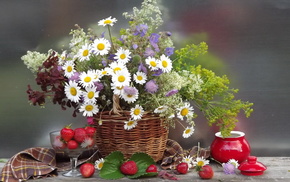 bouquet, flowers, flower, basket, chamomile