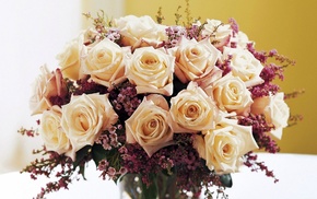 roses, flowers, bouquet
