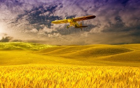 airplane, field, nature, sky, clouds