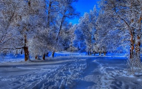 snow, winter, road