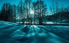 snow, winter, trees, Sun