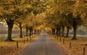 autumn, trees, building, fence